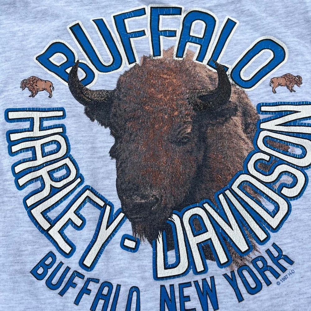 1997 Graphic Buffalo Single Stitch Harley Davidson Shirt size L